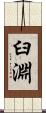臼淵 Scroll