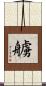 艣 Scroll