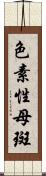 色素性母斑 Scroll