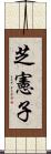 芝憲子 Scroll