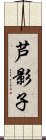 芦影子 Scroll