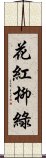 花紅柳綠 Scroll