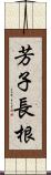 芳子長根 Scroll