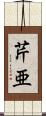 芹亜 Scroll