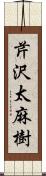 芹沢太麻樹 Scroll