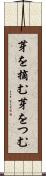 芽を摘む Scroll