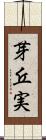 芽丘実 Scroll