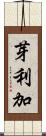 芽利加 Scroll
