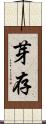 芽存 Scroll