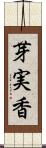 芽実香 Scroll