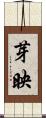 芽映 Scroll