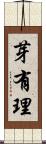 芽有理 Scroll