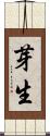 芽生 Scroll