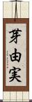 芽由実 Scroll