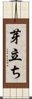 芽立ち Scroll