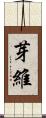 芽維 Scroll