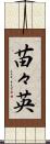 苗々英 Scroll