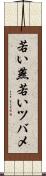 若い燕 Scroll