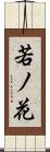 若ノ花 Scroll