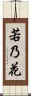 若乃花 Scroll