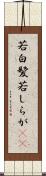 若白髪 Scroll