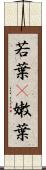 若葉(P) Scroll