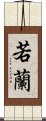 Ruolan Scroll