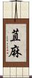苴麻 Scroll