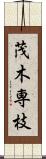 茂木専枝 Scroll