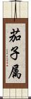 茄子属 Scroll