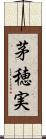 茅穂実 Scroll