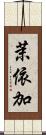 茉依加 Scroll