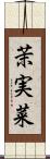 茉実菜 Scroll