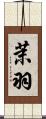 茉羽 Scroll