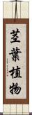 茎葉植物 Scroll