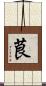 茛 Scroll