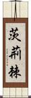 茨 Scroll