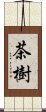 茶樹 Scroll