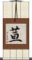 荁 Scroll