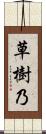 草樹乃 Scroll