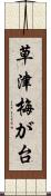 草津梅が台 Scroll