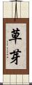 草芽 Scroll