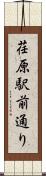 荏原駅前通り Scroll
