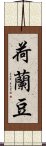 荷蘭豆 Scroll