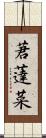 莙薘菜 Scroll