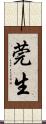 莞生 Scroll