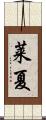 莱夏 Scroll