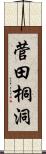 菅田桐洞 Scroll