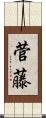 菅藤 Scroll