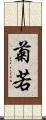 菊若 Scroll